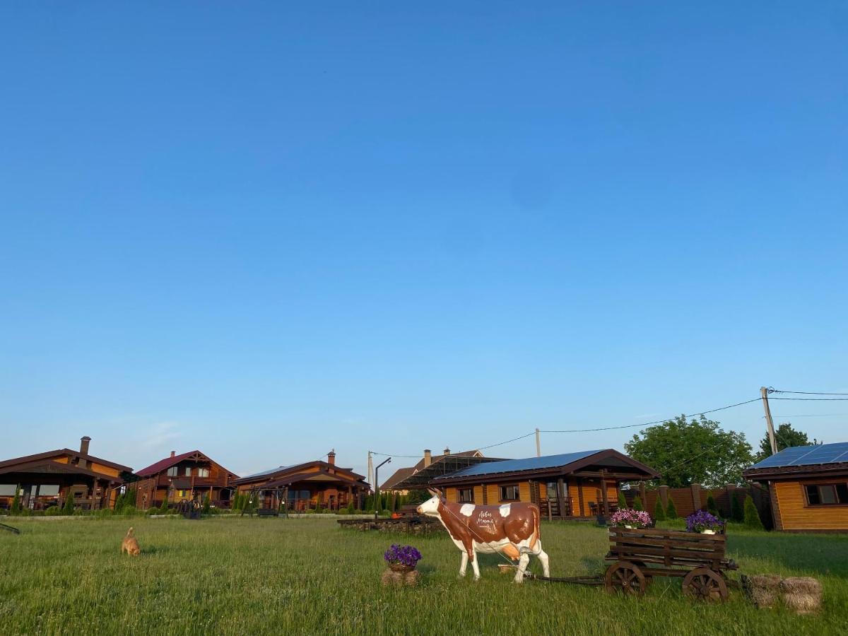 Хомене Villa Rzhyshchiv Buitenkant foto